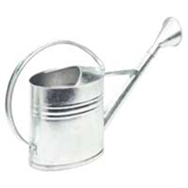 Vattenkanna zink med skruvstril Nyby