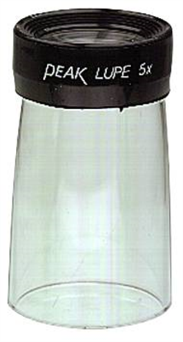 LUPP/VERKSTADSLUPP 5X 1960